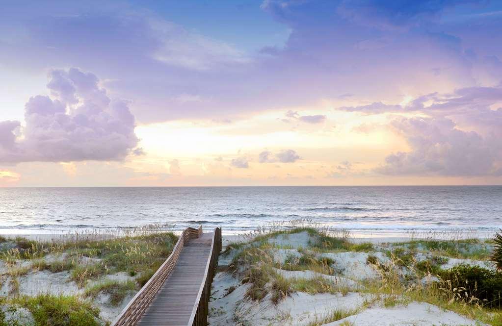 Jekyll Ocean Club Resort Джекил Айлънд Природа снимка
